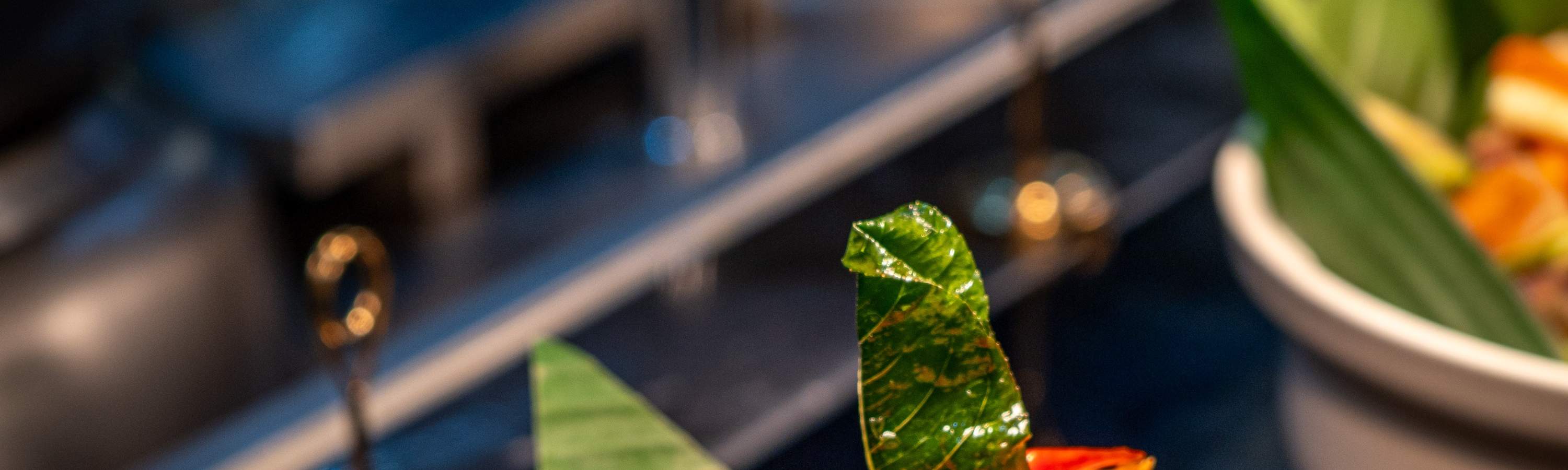 Promosi Makanan Makan Malam Prasmanan